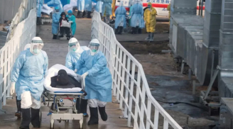 Cập nhật dịch corona ngày 5/2: Gần 500 người tử vong, hơn 23 nghìn người nhiễm bệnh