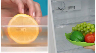 Dùng giấm lau tủ lạnh sáng bóng, hết sạch mùi hôi, diệt trừ vi khuẩn