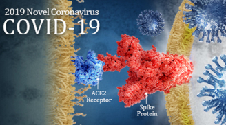 Tin mới nhất về Covid-19: Virus tiến hóa thành 2 chủng, trong đó 1 loại có độc lực mạnh