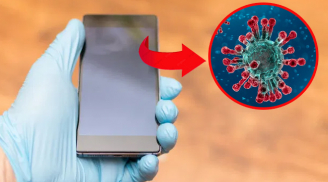 Virus corona có thể tồn tại 9 ngày trên bề mặt điện thoại