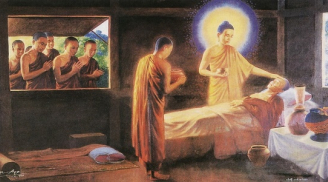 Phật dạy đời người có 4 thứ quả báo, tạo nhân gì thì sẽ gặt hái quả đó