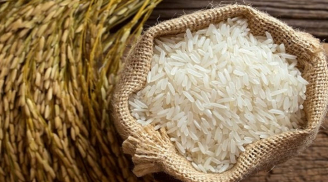 5 mẹo chọn gạo quê mới, thơm dẻo, không tẩm hóa chất