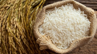 Cách chọn gạo hàng cực phẩm thơm ngon, mềm dẻo ai cũng thích