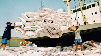 Dịch Covid-19: Việt Nam tạm dừng xuất khẩu gạo
