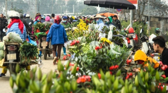 Thông báo khẩn của Bộ Y tế: Tìm người đã đến chợ hoa Mê Linh từ ngày 20/3 đến nay