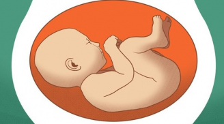 4 vị trí nằm của thai nhi trong bụng mẹ: 2 tư thế cuối, mẹ bầu nên đẻ mổ để đảm bảo an toàn
