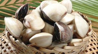 Mẹo chọn mua ngao, sò, ốc, hến tươi ngon chuẩn hàng chất lượng
