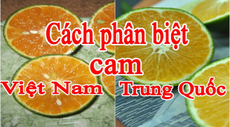 Muốn biết cam Trung Quốc hay cam Việt Nam cứ nhìn vào 1 điểm, người bán hàng không bao giờ hé răng tiết lộ