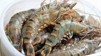 Cách mua tôm chuẩn theo hướng dẫn của chuyên gia, người bán hàng ngán ngẩm thở dài vì không qua mặt được