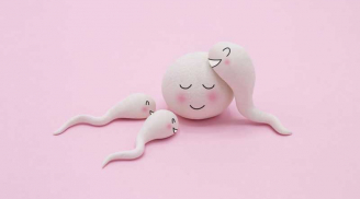 'Yêu' mãi không 'đậu', 8 phương pháp thụ thai hiệu quả vợ chồng mong con có thể áp dụng