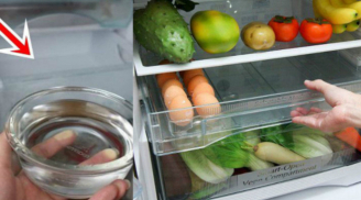 Đặt bát nước trong tủ lạnh qua đêm: Mẹo tiết kiệm một nửa tiền điện mỗi tháng mà chị em không biết