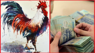 Nửa cuối năm 2020: 3 con giáp cực vượng, may mắn nở rộ, tiền nhiều không phải nghĩ