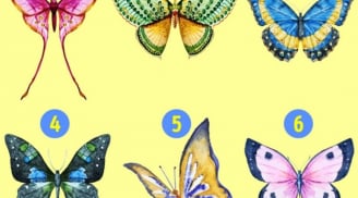 Trắc nghiệm vui: Chọn 1 cánh bướm thu hút nhất, tính cách nổi trội nhất của bạn sẽ được 'bật mí' ngay
