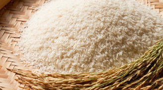 Mẹo chọn gạo thơm ngon, mềm dẻo đúng hàng chất lượng