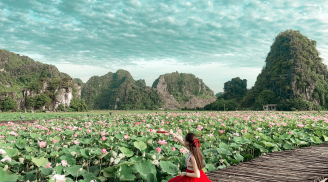 Ninh Bình sau dịch Covid-19: Đầm sen Hang Múa là điểm nhấn thu hút khách du lịch