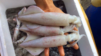 Thấy hải sản có đặc điểm này tuyệt đối không được mua, đó là dấu hiệu của thuốc tẩy trắng cực độc