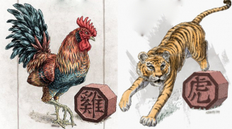 Tử vi tháng 7 âm lịch: 3 con giáp bình yên vượt 'cô hồn', 2 tuổi khác lành ít dữ nhiều