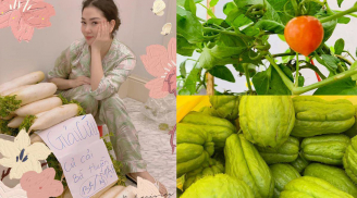 Ngắm biệt thự rộng lớn, vườn rau ăn không xuể của 'Hoa hậu một con bí ẩn nhất Việt Nam'