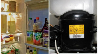 Cách nhận biết tủ lạnh hết gas và mẹo khử mùi tủ lạnh hiệu quả