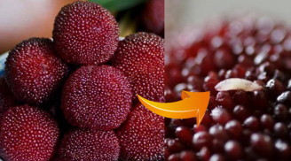 5 loại trái cây chứa nhiều ký sinh trùng, không rửa sạch trước khi ăn là 'rước họa'