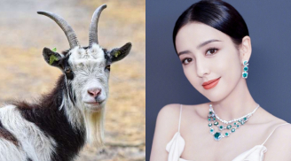 3 nàng giáp không cần tài giỏi xuất chúng vẫn được quý nhân phù trợ, có số lấy chồng tài giỏi, giàu sang