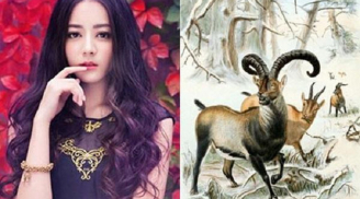 Cuối tháng 10: 3 con giáp may mắn đào trúng hố vàng, làm gì cũng phát tài, lên như diều gặp gió