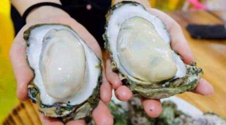 Dân buôn hải sản không bao giờ tiết lộ: Nhìn hình dáng, chọn ngay được con hàu tươi ngon, nhiều thịt
