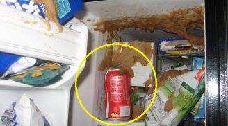 Đừng bao giờ bỏ lon nước ngọt vào ngăn đá tủ lạnh, hậu quả có thể khiến bạn hối hận cả đời