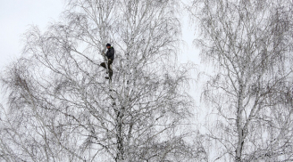 Chàng sinh viên vắt vẻo trên cây cao 8m... để học online