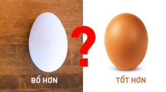 Không phải trứng gà, đây mới là loại trứng bạn nên lựa chọn ăn mỗi ngày cực kỳ bổ dưỡng
