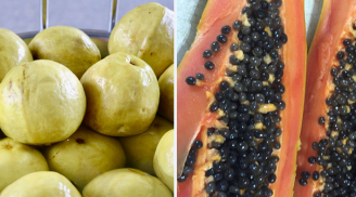 3 loại trái cây 'quê mùa' cực giàu dinh dưỡng, giúp bổ máu, đẹp da lại giảm béo hiệu quả