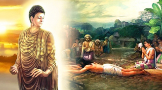 Phật dạy 7 trường hợp tuyệt đối không sát sinh kẻo họa bất trùng lai, phúc báo mất hết