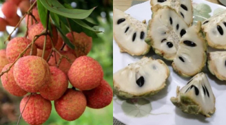 10 loại trái cây ngon ngọt nhưng gây nóng trong, nổi mụn nhọt, không nên ăn nhiều vào mùa hè