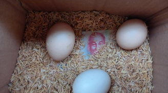 Mẹ gửi trứng gà lên thành phố cho con gái và điều cảm động bên trong chiếc hộp khiến con rơi nước mắt
