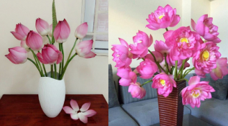 Nhà giàu hay bày 6 loại hoa này trong phòng khách để hút tài lộc, muốn may mắn hãy làm đúng như vậy