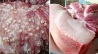 4 bộ phận bẩn nhất của con lợn: Được bán rẻ nhưng chứa đầy vi khuẩn, độc tố, ăn vào dễ sinh bệnh
