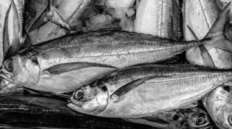3 loại cá là 'vựa chứa' kim loại nặng, tuyệt đối không được ăn kẻo phá hỏng nội tạng