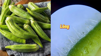 Kết quả kinh ngạc khi soi quả đậu bắp dưới kính hiển vi, 4 đối tượng không nên ăn kẻo gây hại