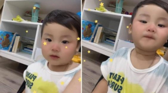 Kênh TikTok của con trai Hòa Minzy vượt mặt Ngọc Trinh lọt top 1 kênh tăng nhiều follow nhất