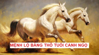 Tháng 8 phú quý, tháng 9 đón vượng khí: 3 người mệnh này làm gì cũng thuận lợi, cầu được ước thấy