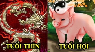 1/8 trở đi: 3 con giáp vượt qua hạn 'tam tai', vận thế đảo ngược, may mắn tiền tình kéo nhau ùa tới