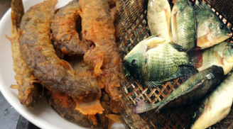 9 loại cá đại bổ, giàu dinh dưỡng bậc nhất, vừa ngon vừa rẻ bán đầy ở Việt Nam