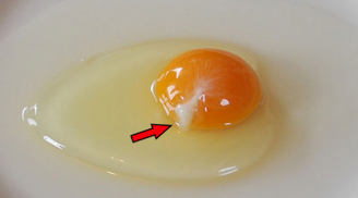 Đập trứng ra bát thấy vệt màu trắng đục dính vào lòng đỏ, nên ăn tiếp hay bỏ đi?