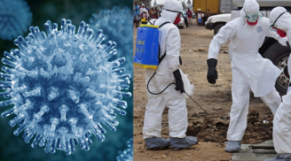 Covid-19 chưa qua, WHO lại phải đưa ra khuyến cáo về một loại virus khác, nguy hiểm giống Ebola