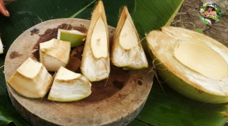Không phải ai cũng biết, Việt Nam có một giống dừa lạ bổ như bổ cam, bỏ nước chỉ ăn phần vỏ