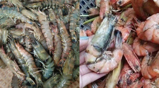 Loại hải sản chứa nhiều kim loại nặng và ký sinh trùng: Nhiều người không biết vẫn thích ăn