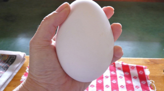 Trứng nào bổ nhất trong 4 loại 'gà, vịt, ngỗng, chim cút', hầu như ai cũng hiểu sai