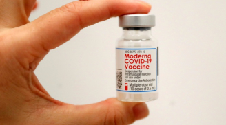 Vaccine Moderna bị đình chỉ sử dụng tại Iceland do nguy cơ viêm cơ tim