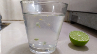 Điều gì sẽ xảy ra với cơ thể nếu bạn uống nước chanh mỗi ngày?