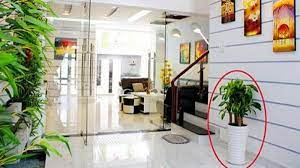 Từ giờ đến cuối năm, nhớ làm theo 6 mẹo phong thủy này để cải vận, đẩy lùi xui xẻo kéo may mắn về